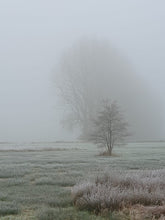 Afbeelding in Gallery-weergave laden, Fotocursus Herinneringsboek